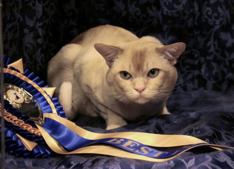 Section 5 winner